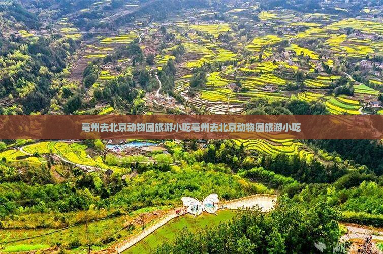 亳州去北京动物园旅游小吃