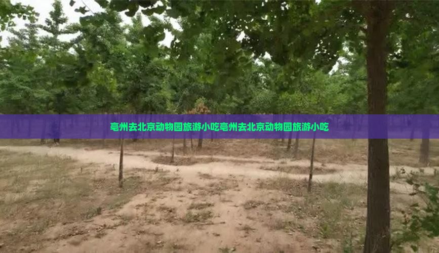 亳州去北京动物园旅游小吃