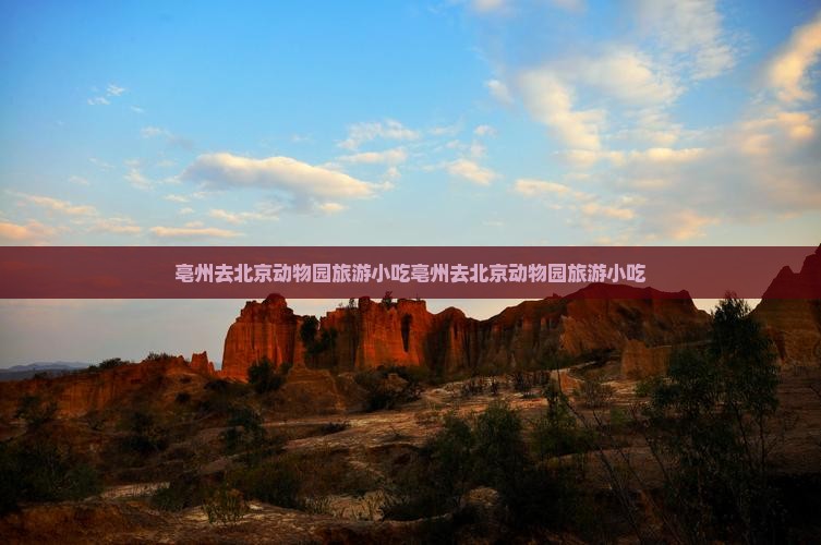 亳州去北京动物园旅游小吃