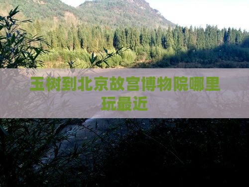 玉树到北京故宫博物院哪里玩