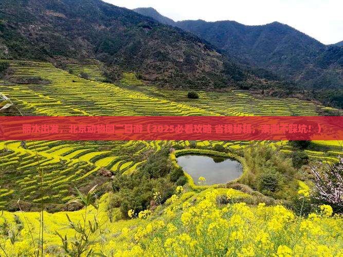 丽水去北京动物园二日游