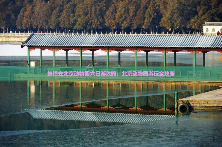 蚌埠去北京动物园六日游