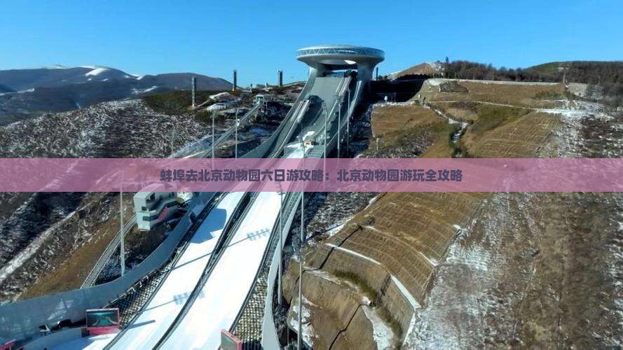 蚌埠去北京动物园六日游