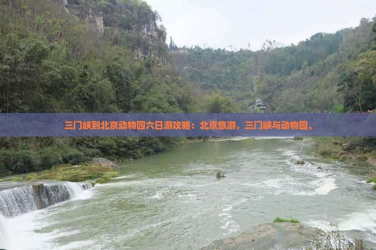 三门峡到北京动物园六日游