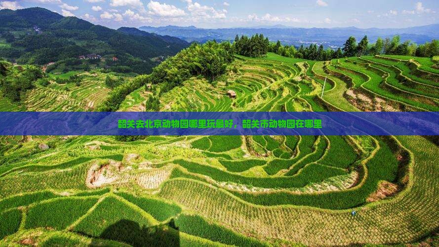 韶关去北京动物园哪里玩