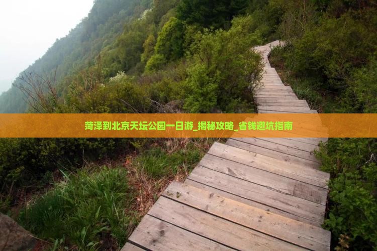 菏泽到北京天坛公园一日游
