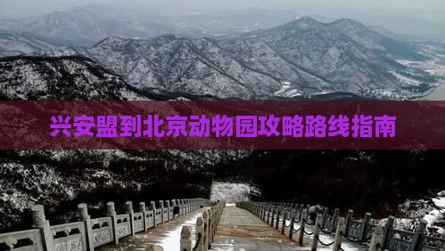 兴安盟到北京动物园攻略 兴安盟到北京动物园攻略