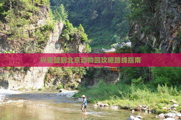 兴安盟到北京动物园攻略 兴安盟到北京动物园攻略