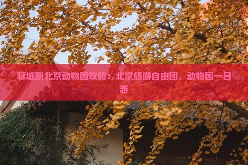 聊城到北京动物园自由团