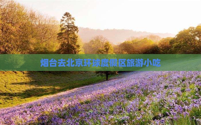 烟台去北京环球度假区旅游小吃