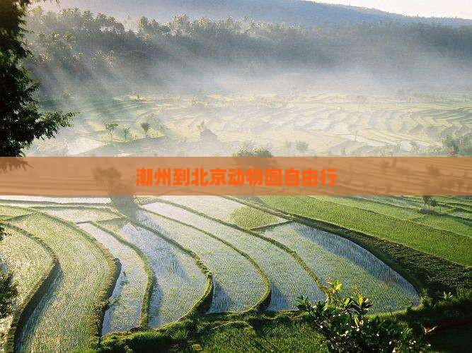 潮州到北京动物园自由行