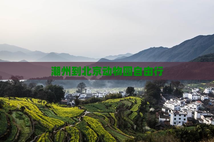 潮州到北京动物园自由行