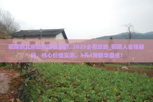 铜陵到北京动物园五日游