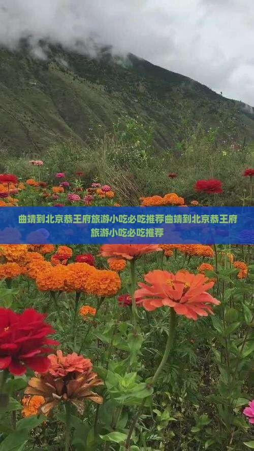 曲靖到北京恭王府旅游小吃