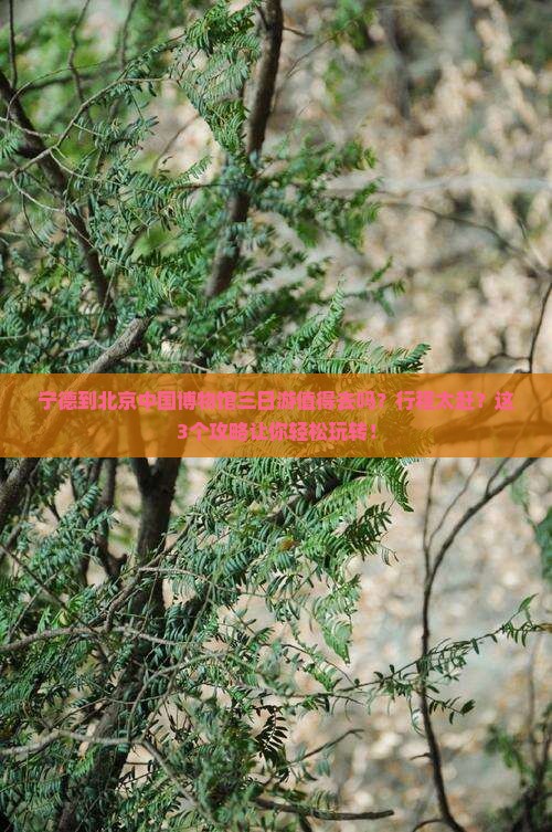 宁德到北京中国国家博物馆三日游 宁德到北京中国国家博物馆三日游
