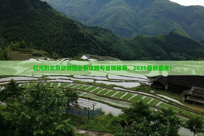 红河到北京动物园旅行社
