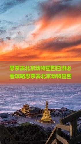 思茅去北京动物园四日游