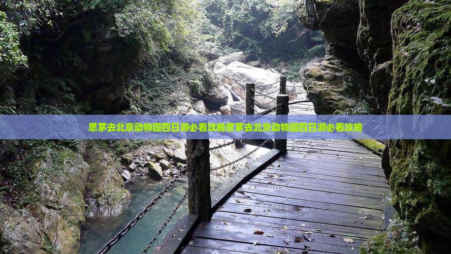 思茅去北京动物园四日游