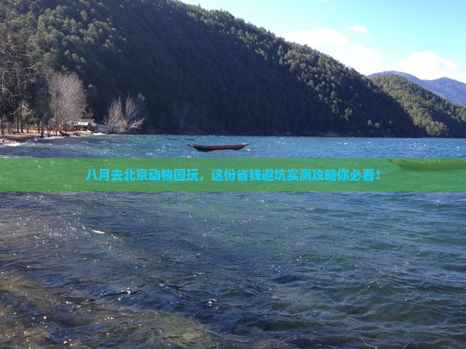 八月去北京动物园攻略
