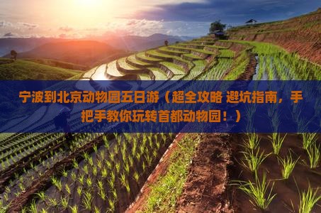 宁波去北京动物园五日游