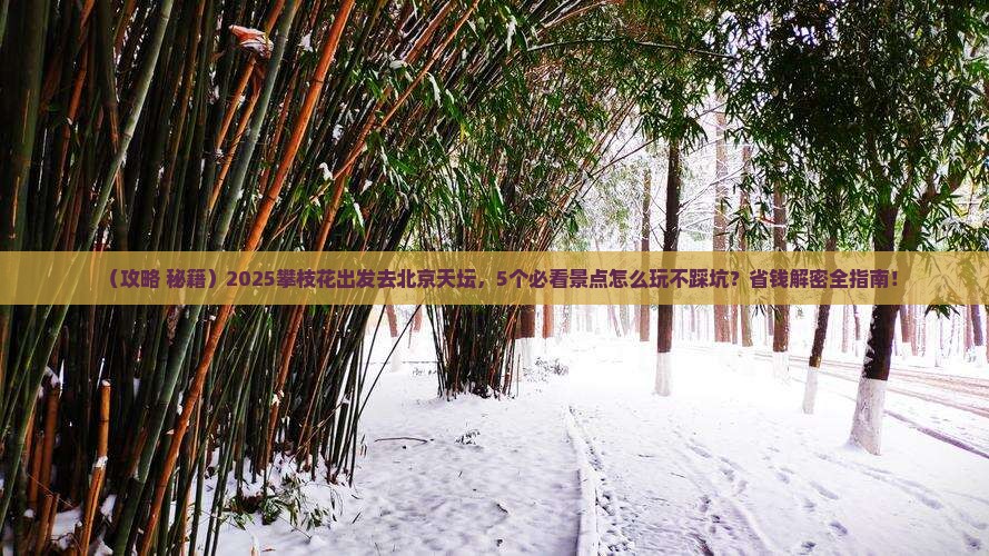 攀枝花去北京天坛公园哪里玩