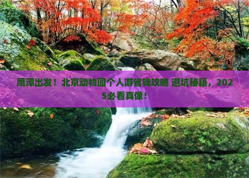 鹰潭到北京动物园个人游