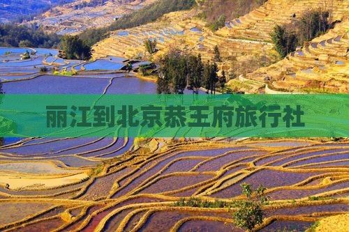 丽江到北京恭王府旅行社