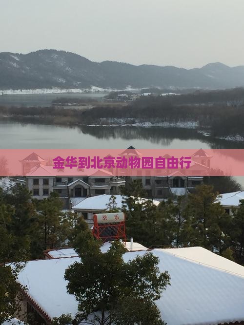 金华到北京动物园自由行