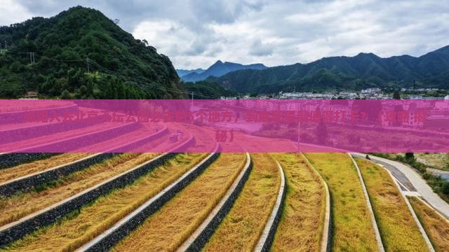 绵阳去北京天坛公园必去地