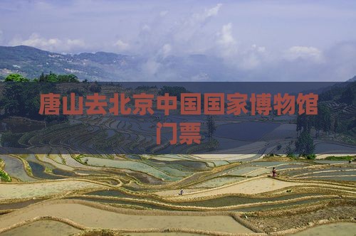 唐山去北京中国国家博物馆门票