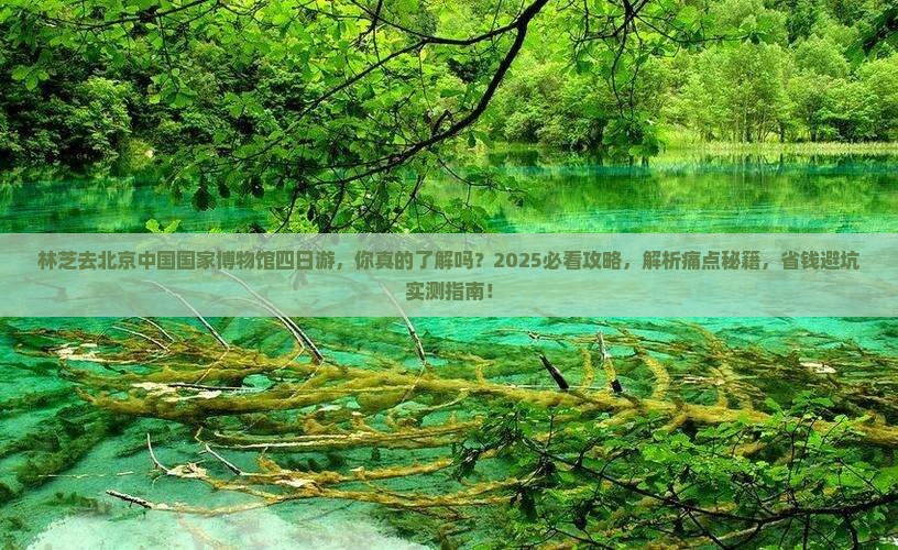 林芝去北京中国国家博物馆四日游