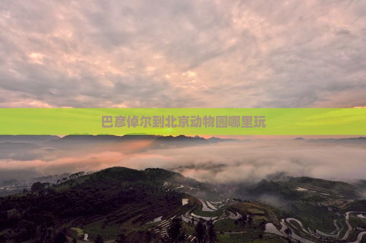 巴彦倬尔到北京动物园哪里玩