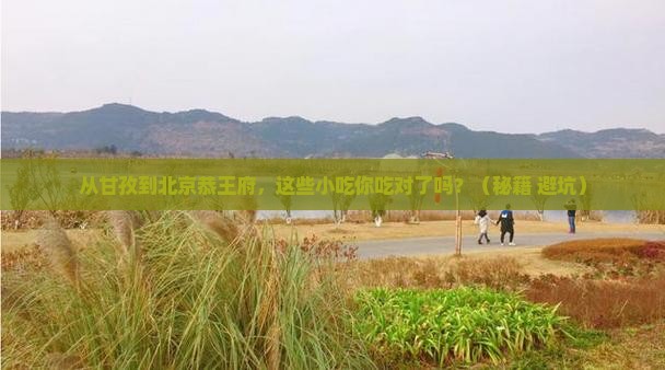 甘孜去北京恭王府旅游小吃
