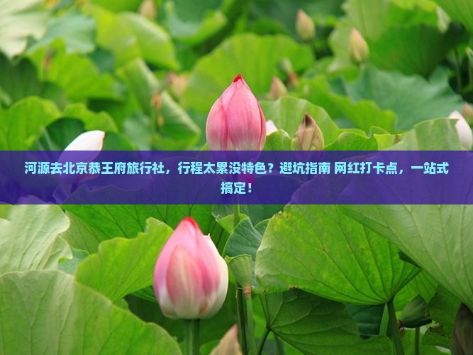 河源去北京恭王府旅行社