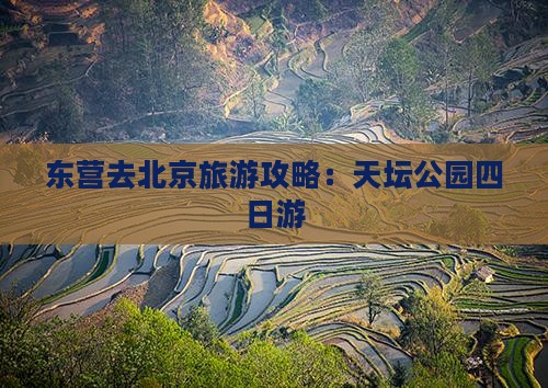 东营去北京天坛公园四日游