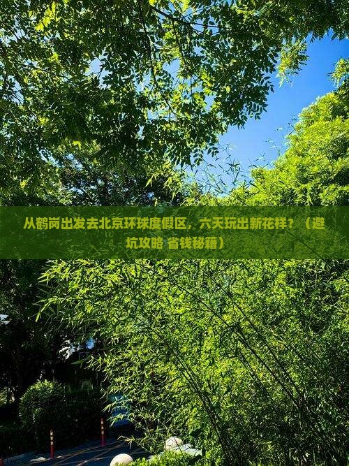 鹤岗去北京环球度假区六日游