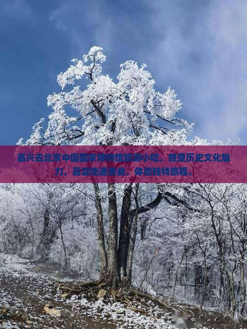 嘉兴去北京中国国家博物馆旅游小吃