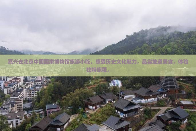 嘉兴去北京中国国家博物馆旅游小吃