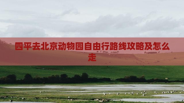 四平去北京动物园自由行