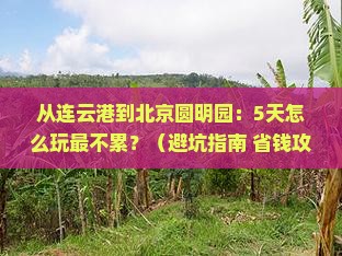 连云港到北京圆明园遗址公园旅游
