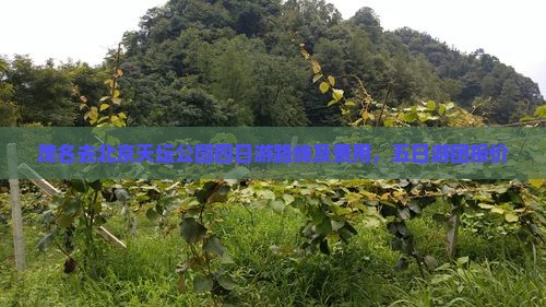 茂名去北京天坛公园四日游