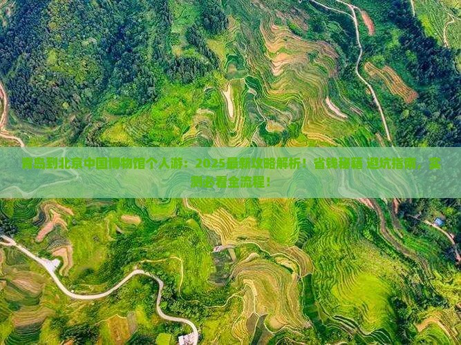 青岛到北京中国国家博物馆个人游