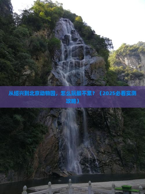 绍兴去北京动物园攻略
