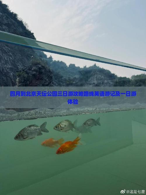 四月到北京天坛公园三日游