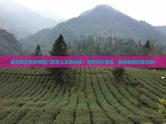 商丘到北京动物园门票