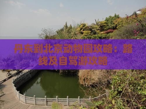 丹东到北京动物园攻略