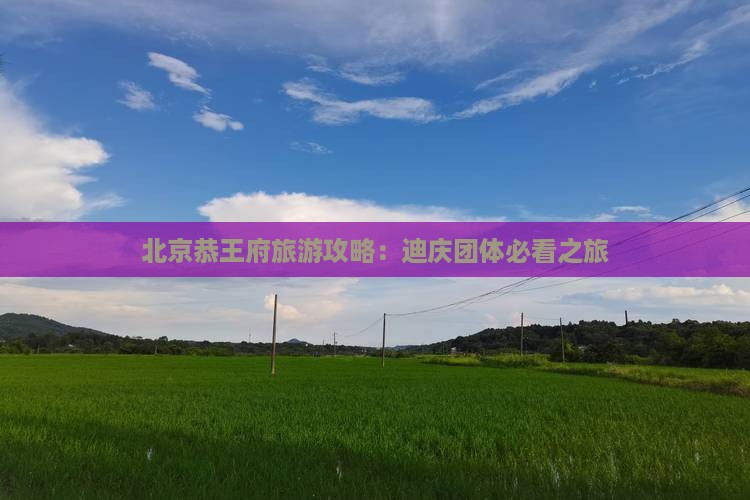 迪庆去北京恭王府团体旅游