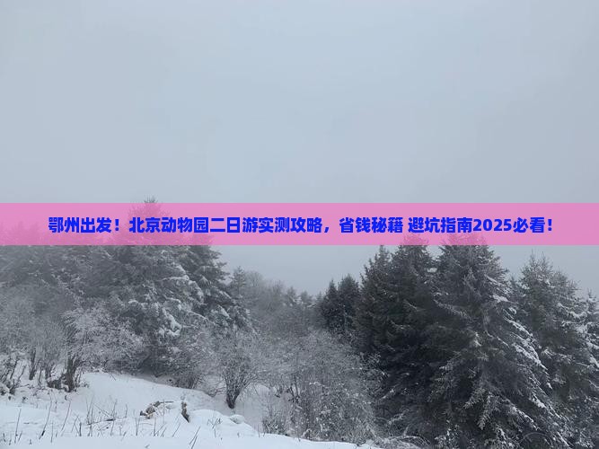 鄂州去北京动物园二日游