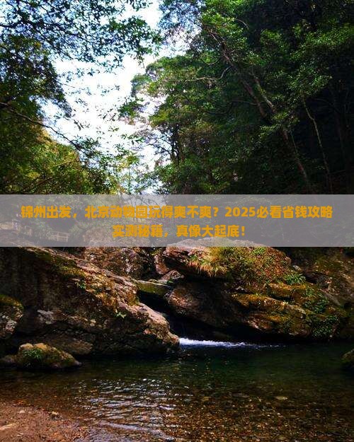 锦州去北京动物园旅行社