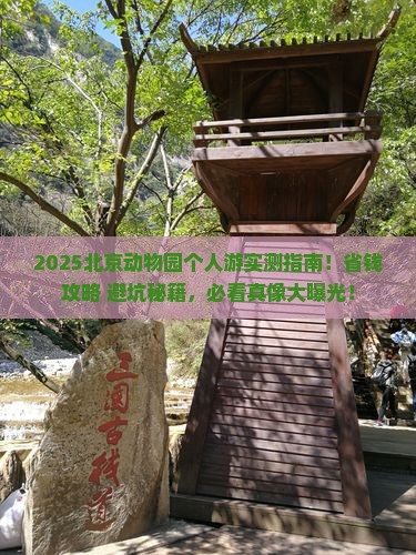 沧州去北京动物园个人游